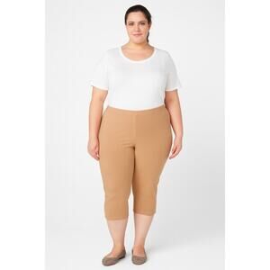Women with Control by Renee Greenstein Tan Capri Pants Size XL